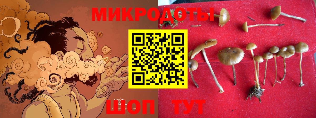 Владивосток  Псилоцибиновые грибы Magic Shrooms  где можно купить наркотик  Вход с VPN 